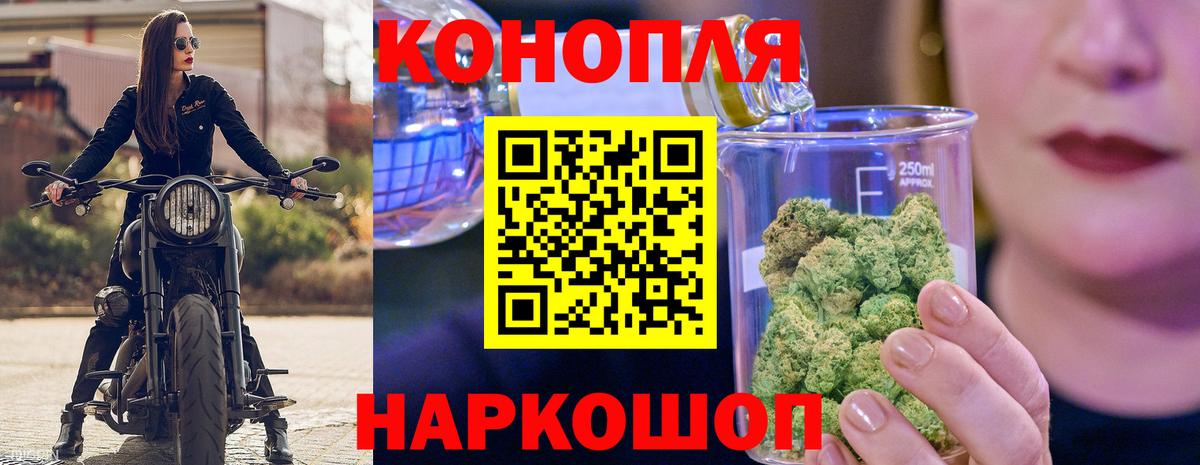 Канабис планчик Великий Новгород
